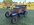 IMG_3115.jpeg