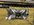 IMG_3390.jpeg
