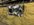 IMG_3392.jpeg