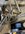 IMG_0540.jpeg