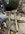 IMG_0543.jpeg