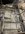 IMG_0552.jpeg