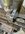 IMG_7940.jpeg