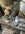 IMG_7941.jpeg