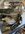 IMG_0559.jpeg
