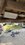 IMG_8231.jpeg