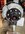 IMG_5997.jpeg