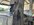 IMG_3249.jpeg