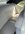 IMG_0846.jpeg