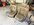 IMG_5545.jpeg