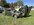 IMG_3692.jpeg