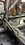IMG_1050.jpeg