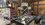IMG_1057.jpeg