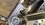 IMG_1058.jpeg