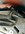 IMG_3456.jpeg