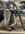 IMG_0578.jpeg