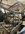 IMG_0582.jpeg