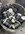 IMG_4151.jpeg
