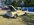 IMG_4466.jpeg