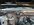 IMG_9688.jpeg
