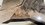 5B7EEA26-3113-4ABC-B5CE-5C7A5B1DE2D1.jpeg