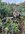 01D0D331-0092-43F4-9739-A572A32F9D5D.jpeg