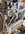 IMG_0916.jpeg