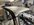 IMG_3443.jpeg