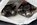 IMG_6409.jpeg