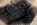IMG_6404.jpeg