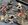 IMG_6406.jpeg