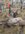 20251010_171655.jpg