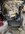 IMG_4981.jpeg