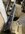 IMG_0625.jpeg