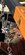 IMG_4380.jpeg