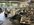 IMG_3485.jpeg