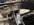 IMG_3530.jpeg