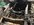 IMG_3529.jpeg