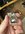 IMG_9628.jpeg