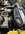 IMG_4253.jpeg