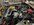 IMG_4249.jpeg