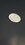 IMG_1436.jpeg