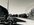 IMG_4371.jpeg