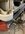 IMG_0737.jpeg