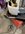 IMG_0738.jpeg