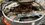 IMG_0472.jpeg
