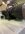 IMG_0756.jpeg