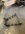 IMG_0759.jpeg
