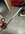 IMG_4287.jpeg