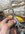 EAD61E6C-E86B-4AC5-B7E1-EA3412A89BC4.jpeg